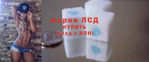 стафф Осташков