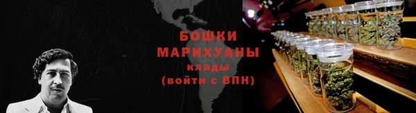 стафф Осташков