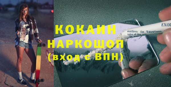 стафф Осташков
