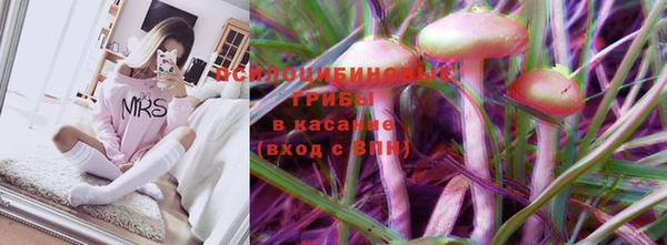стафф Осташков
