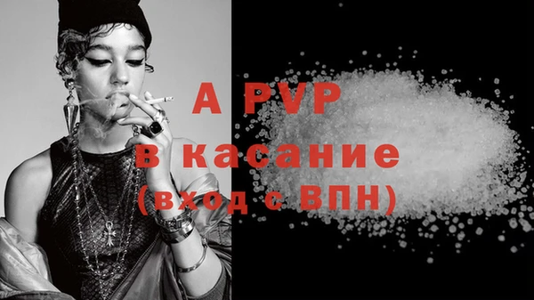 стафф Осташков