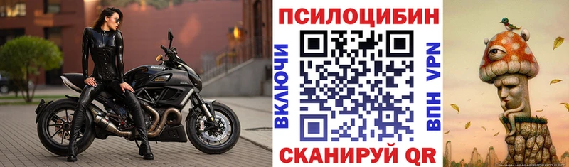 Псилоцибиновые грибы Psilocybine cubensis  Купить закладки  Волгоград 
